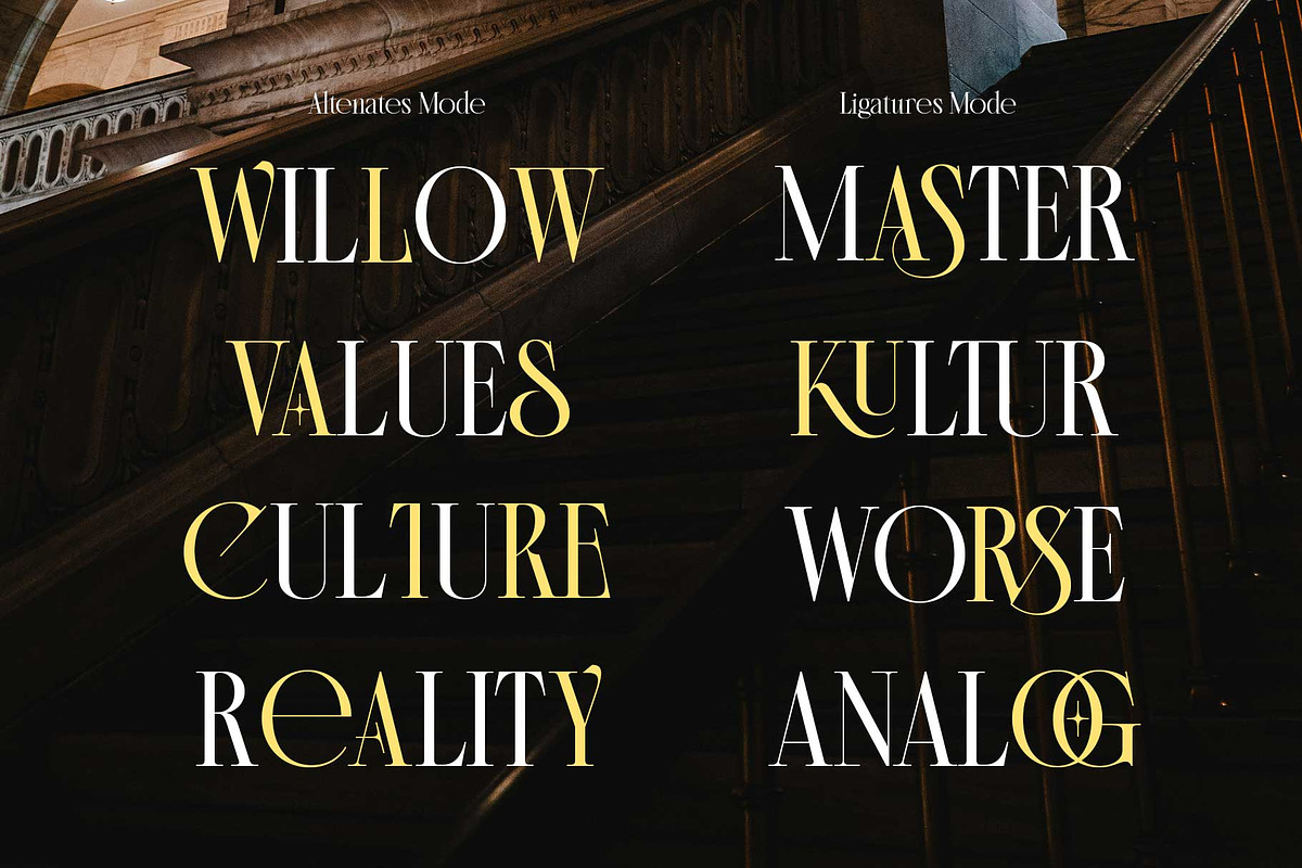Morside - Modern Classic Serif, a Serif Font by Arterfak Project (Photo 11 of 14)