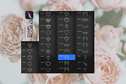Victorian Hearts & Wings + Procreate, a Decorative Illustration by Skliarova (Thumbnail 10 of 10)