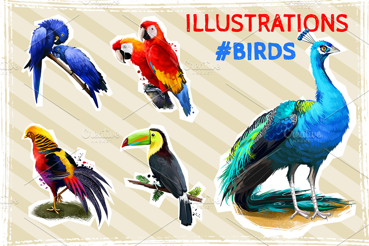 Tropical Birds SET, Exotic Species, an Animal Illustration by Dneprstock (Photo 1 of 10)