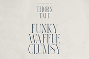 Thorn & Tale – A Refined Serif Font, a Serif Font by VP Fonts (Thumbnail 22 of 30)