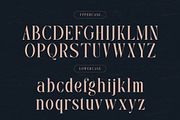 Rasmien | Elegant Serif Font, a Serif Font by Denustudios (Thumbnail 10 of 13)