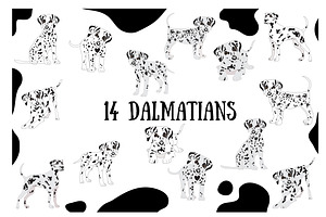 Dalmatian