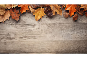 tree fall frame oak close ai, a Nature Photo by pikepicture