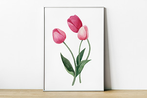 Watercolor Tulips Clipart Bundle