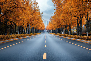 An empty city road in autumn reflect, a Photo by Pavel_design