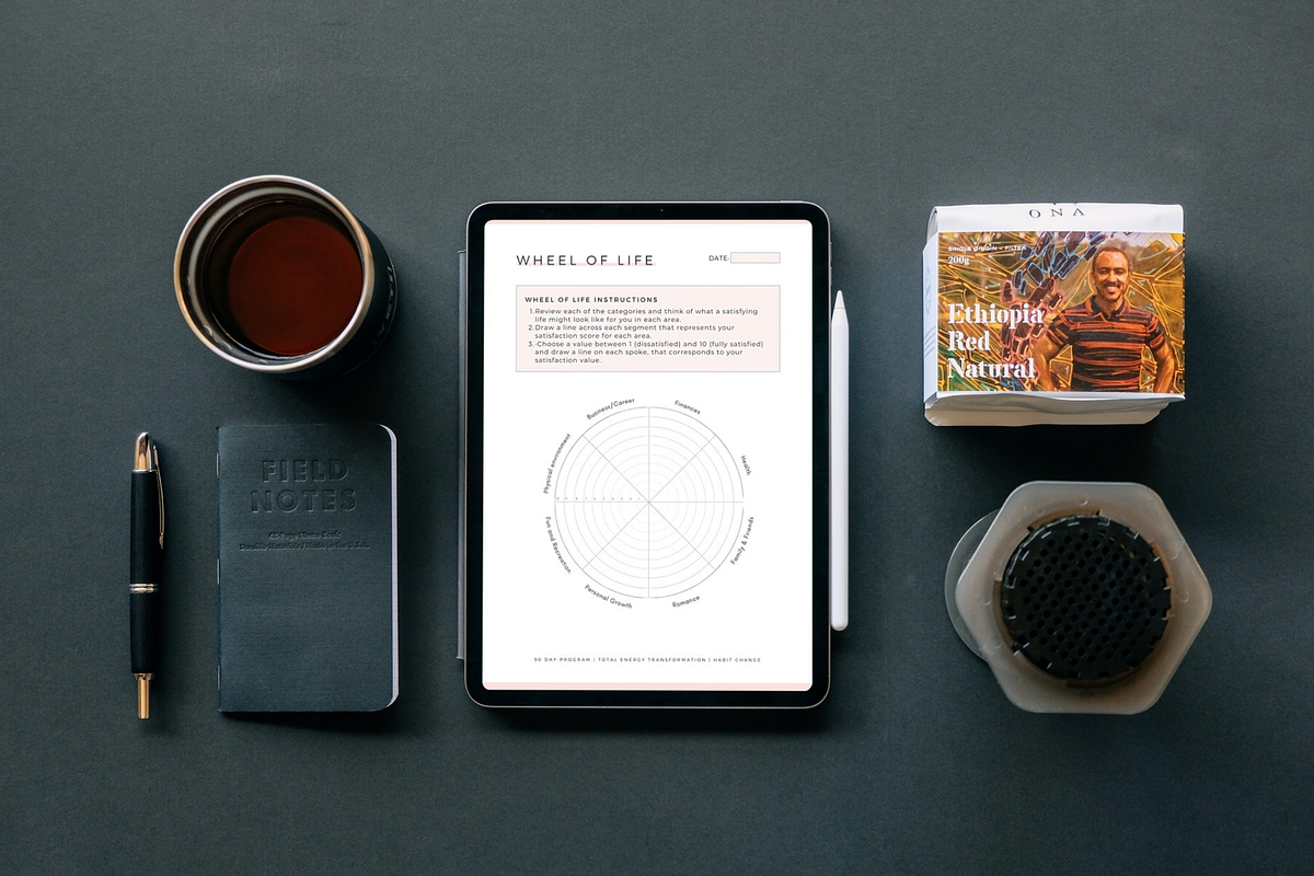 Wheel of life Canva Template, a Brochure Template by Designs by Darowan
