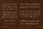 Leaffes Elegant Serif Font, a Serif Font by Graphicxell (Thumbnail 8 of 8)