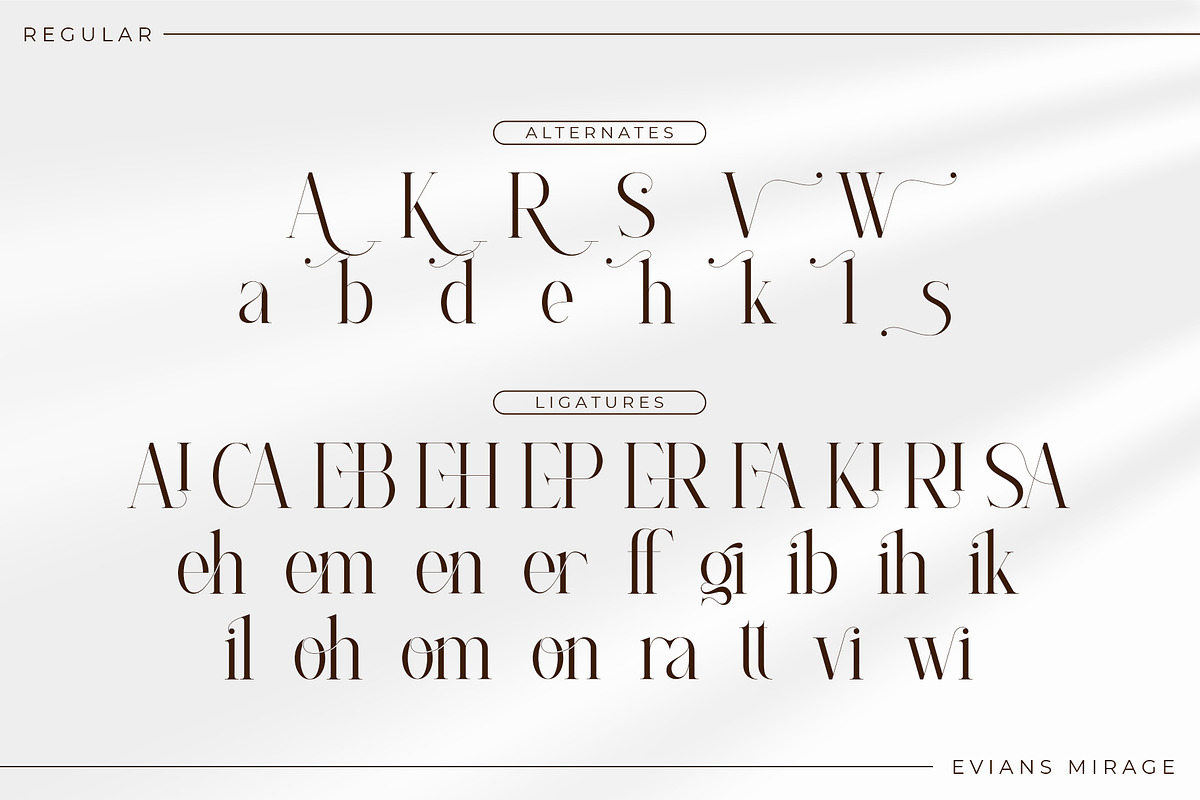 Evians Mirage Serif Font, a Serif Font by Idea Studio (Photo 12 of 14)