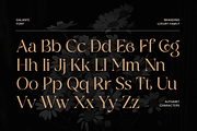 Galante Branding Luxury Font Family, a Serif Font by Sensatype (Thumbnail 16 of 21)