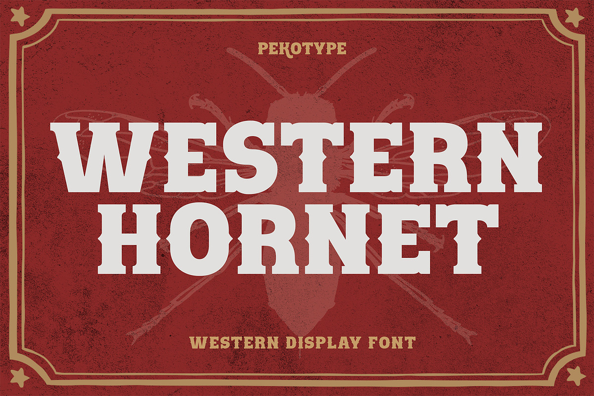Western Hornet - Display Font, a Font by Pekotype (Photo 1 of 14)