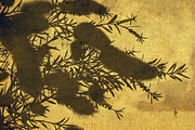 100 Tree and Plant Brushes, a Brush Add-On by envirographic (Thumbnail 2 of 5)
