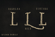 Wilder Family & Handdrawn Kit, a Font by Swistblnk Std. (Thumbnail 2 of 4)