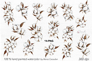 Cotton Plant Watercolor, an Object Illustration by CaraulanStore (Thumbnail 4 of 10)