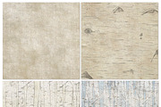 Birch Wood Background Images, a Pattern Graphic by Carrie Stephens Art (Thumbnail 5 of 6)