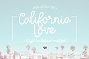 ULTIMATE .OTF FONT BUNDLE - 45 FONTS, a Script Font by Blush Font Co. (Thumbnail 2 of 13)