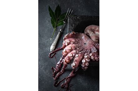 Whole fresh raw octopus on black, a Food & Drink Photo by LARISA BLINOVA