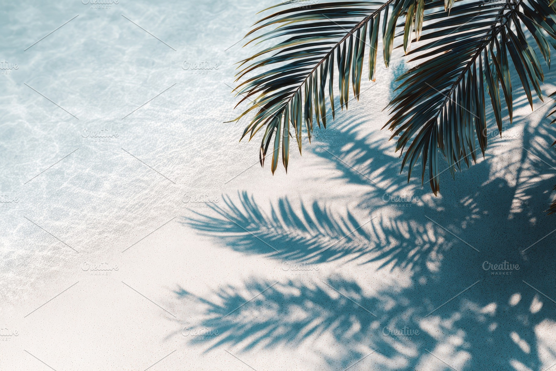 Palm leaves cast shadows on sandy, a Photo by Pavel_design
