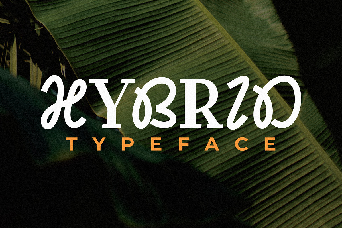 Dextor - Display Font, a Handwritten Font by Lettermine