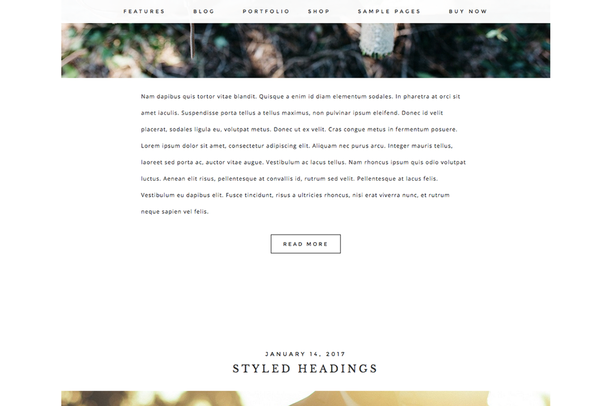 Captivating Wordpress Theme, a WordPress Template by brave + beautiful designs (Photo 5 of 5)