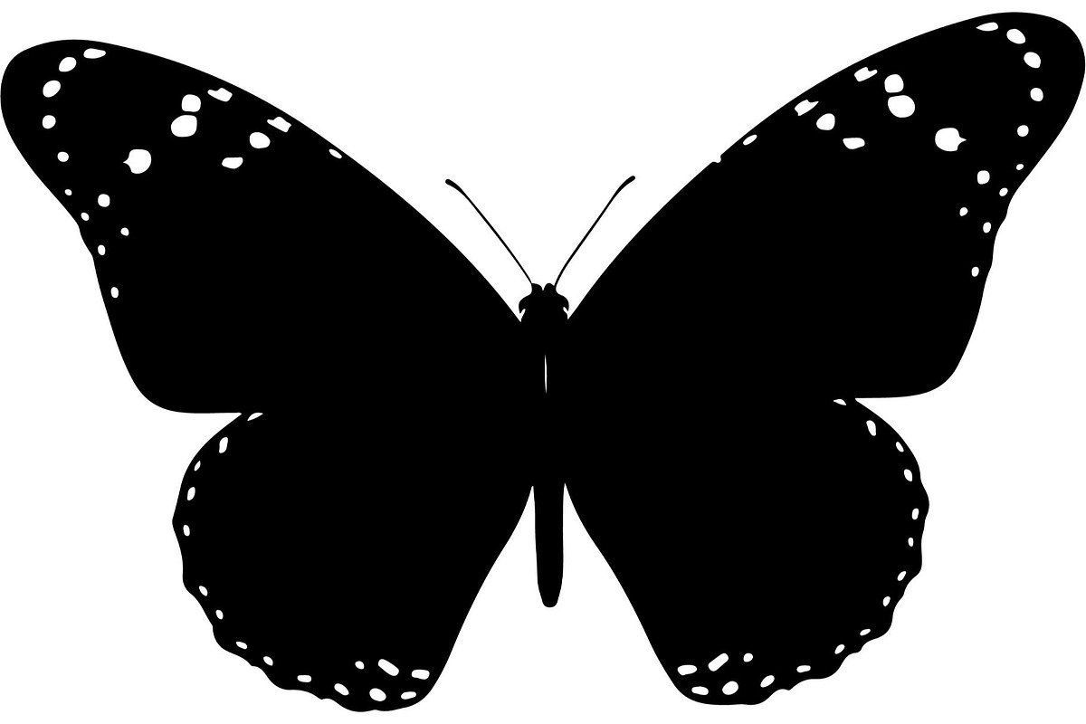 Butterfly Silhouette Bundle, an Object Graphic by Designer_Momina (Photo 20 of 20)