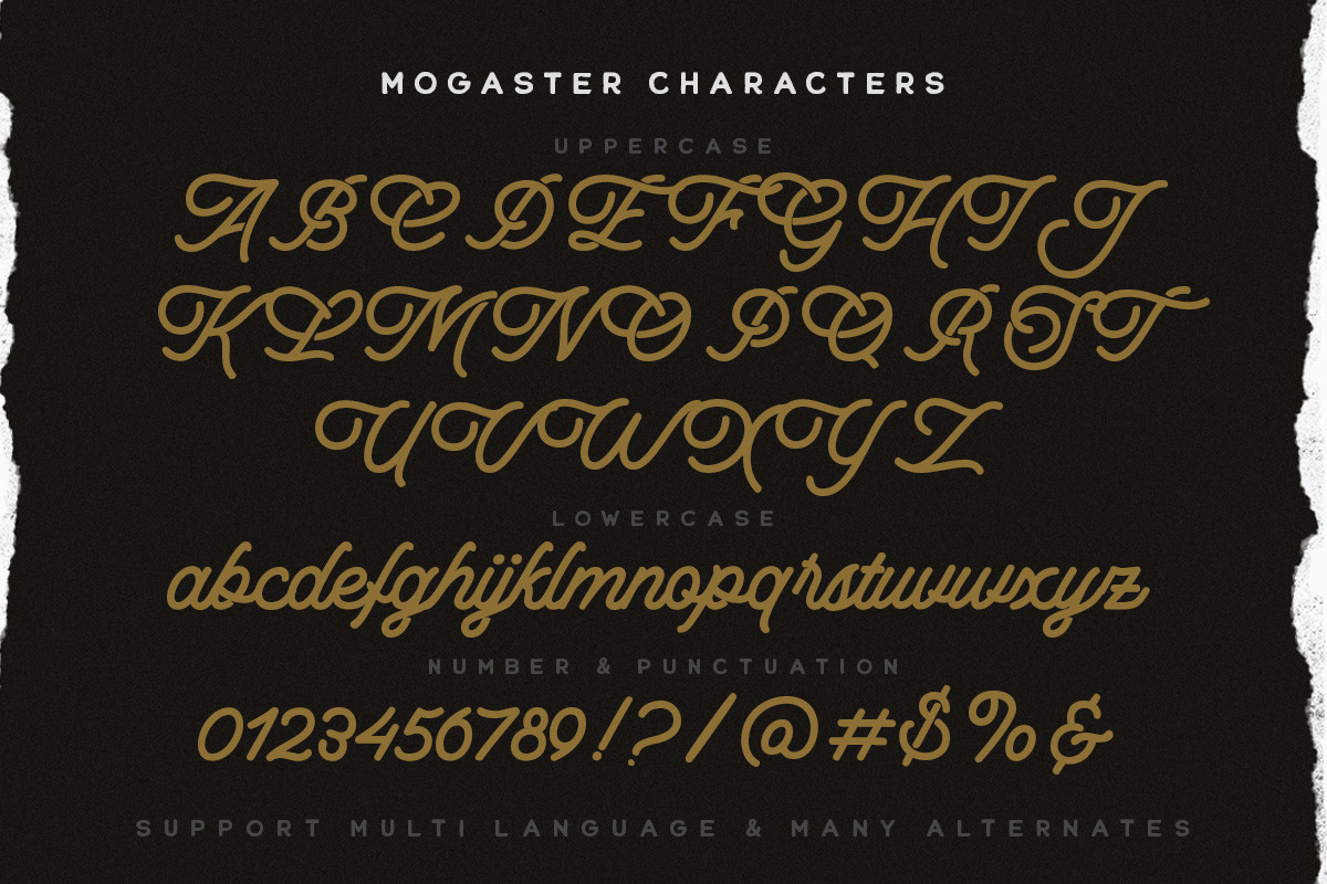 The Mogaster - Monoline Script, a Script Font by Letterhend Studio (Photo 7 of 9)