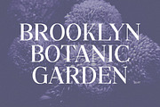 Savinder, a Serif Font by Dora Typefoundry (Thumbnail 7 of 13)