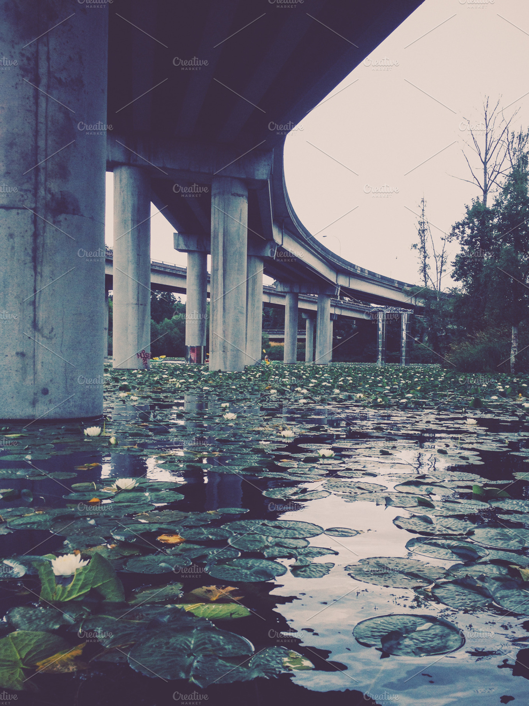 A Highway Passing Over Water