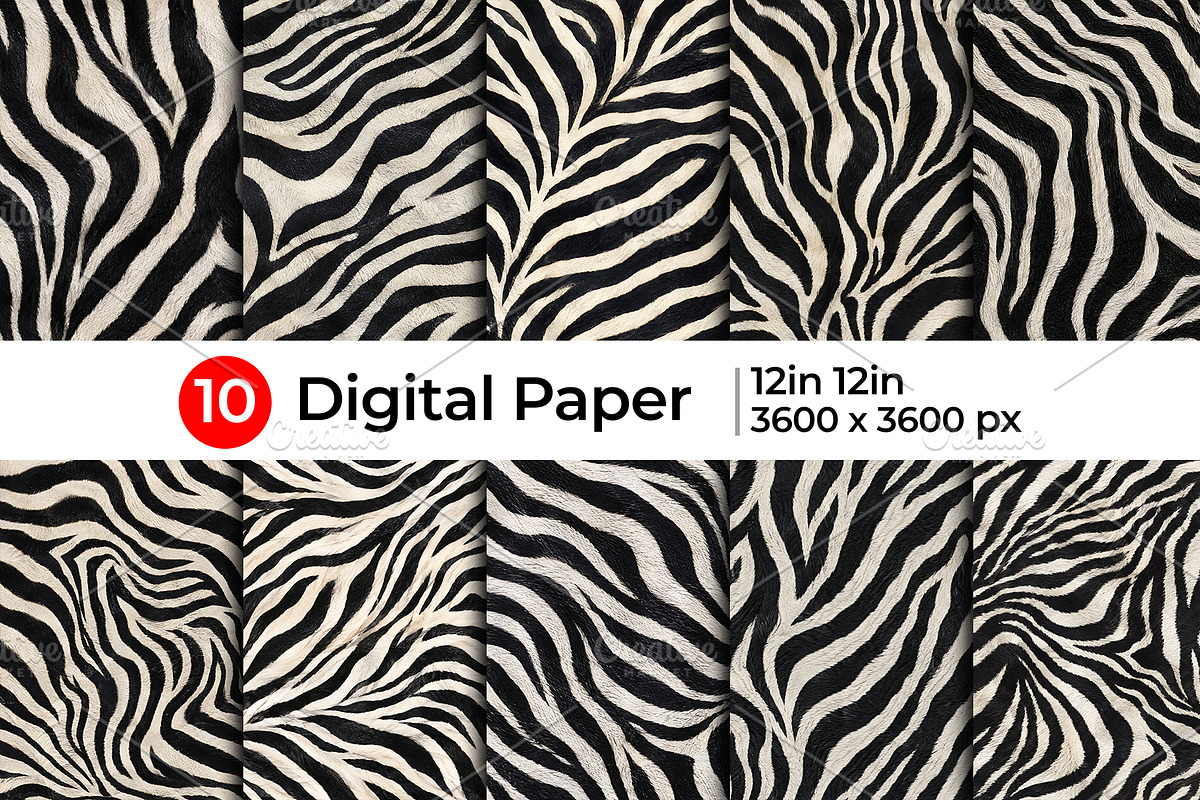 Realistic Black White Zebra Texture, a Pattern Graphic by Artonix (Photo 1 of 4)