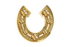 Silver And Gold Horseshoes Set