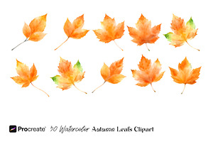 Watercolor Autumn Leaves Clipart