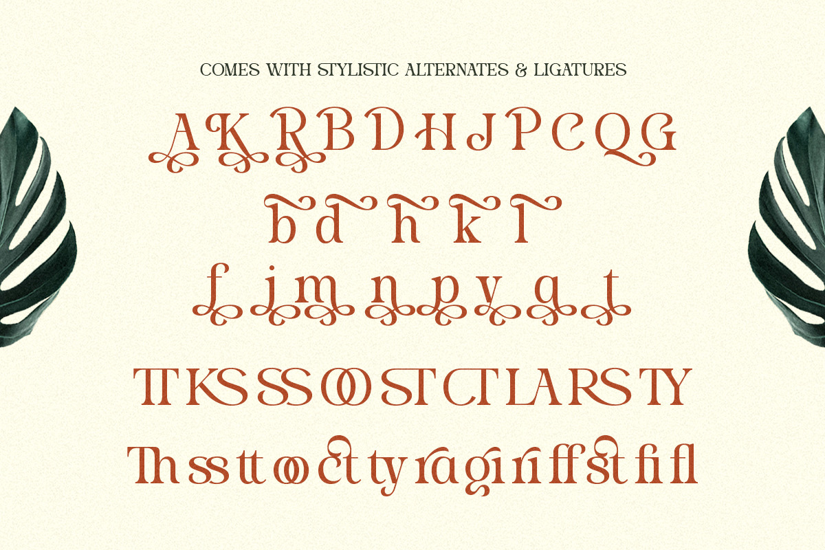 Stylish Average - Elegant Alternates, a Serif Font by Shakira Studio (Photo 10 of 10)