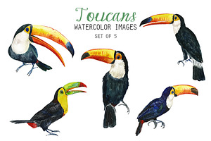 Watercolor Toucans Clipart