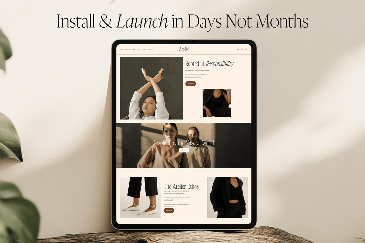 Modern Shopify Theme, a Shopify Template by Asha Glenn Design Studio (Photo 5 of 9)