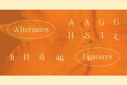 Cagiste Elegant Luxury Serif Font, a Serif Font by Rasio Studio (Thumbnail 4 of 8)