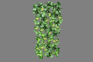 Ivy_Flat, an Environmental 3D Model by 2dawngames