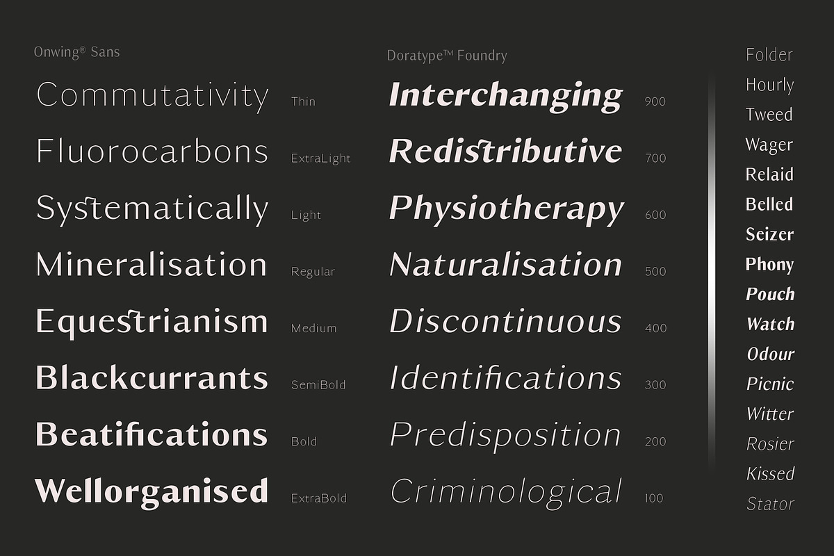 Owning Sans, a Sans Serif Font by Dora Typefoundry (Photo 9 of 10)