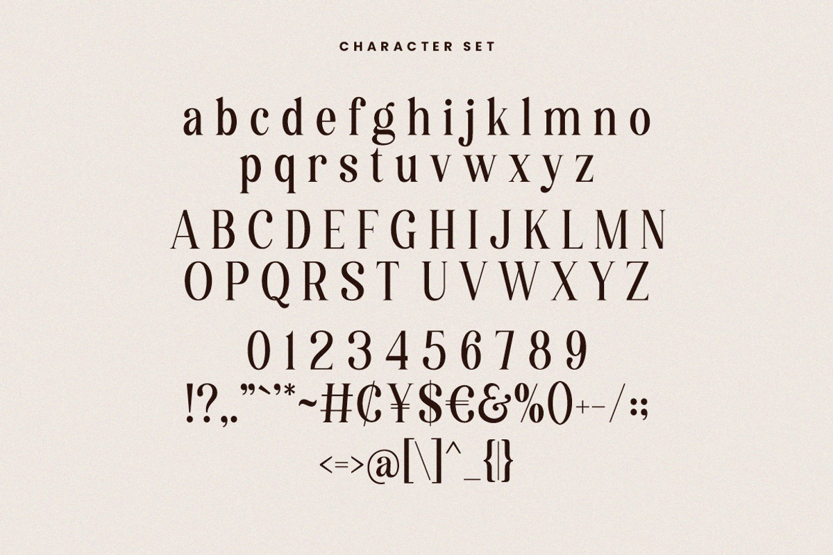 Destiny Gorgeous Font, a Serif Font by HansCo Studio (Photo 9 of 12)