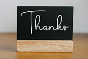 Delight Photography, a Handwritten Font by FreshTypeINK (Thumbnail 8 of 8)