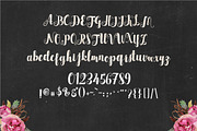 Cattleya Script, a Script Font by Genesis Lab (Thumbnail 2 of 5)