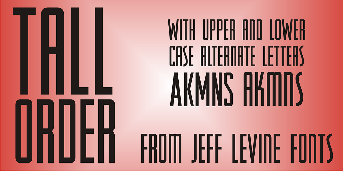 Tall Order JNL, a Sans Serif Font by Jeff Levine Fonts