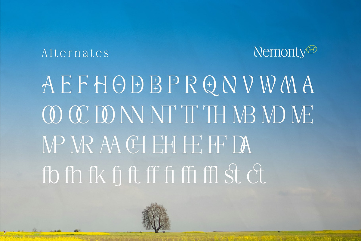 Nemonty - Minimalist Font, a Serif Font by Salamahtype (Photo 6 of 9)