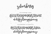 Silverberry - Dry Ink Font, a Script Font by Mats-Peter Forss (Thumbnail 7 of 7)