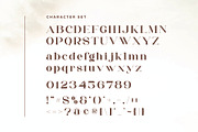 Balgeri - Modern Serif Font, a Serif Font by Aqeel_Art (Thumbnail 8 of 10)