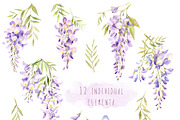 Wisteria watercolor set, an Illustration by PS_patterns (Thumbnail 2 of 4)