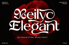 Reilyc Elegant - Blackletter Sans