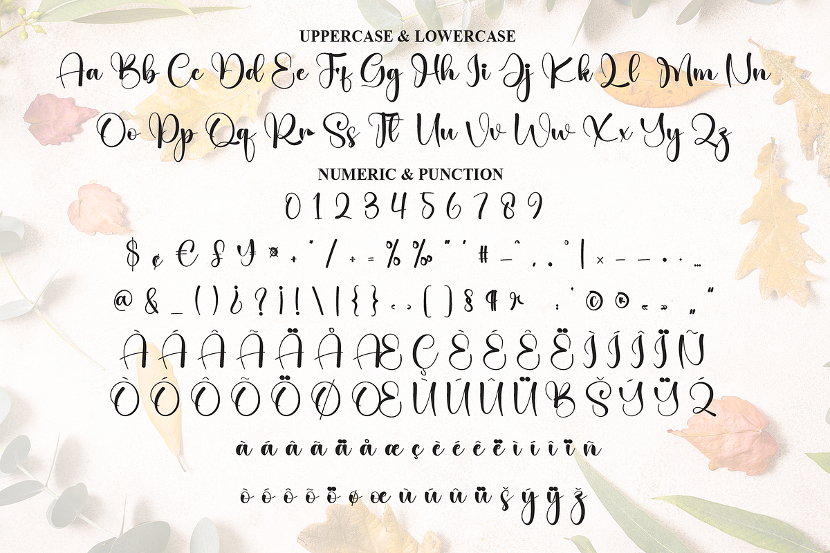 September | Script Font, a Handwritten Font by Scratchones (Photo 7 of 8)