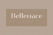 Ayilka - Elegant Display Serif, a Serif Font by BrandSemut (Thumbnail 7 of 9)