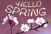 Peaches * Wedding Font, a Script Font by Doris Nawratil (Thumbnail 6 of 10)
