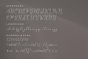 Mendikari Chic Calligraphy Font, a Script Font by Storytype Studio (Thumbnail 13 of 14)