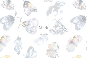 Moth. Art And Patterns